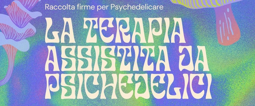 La terapia assistita da psichedelici: i funghi possono aiutarci (e non solo loro!)