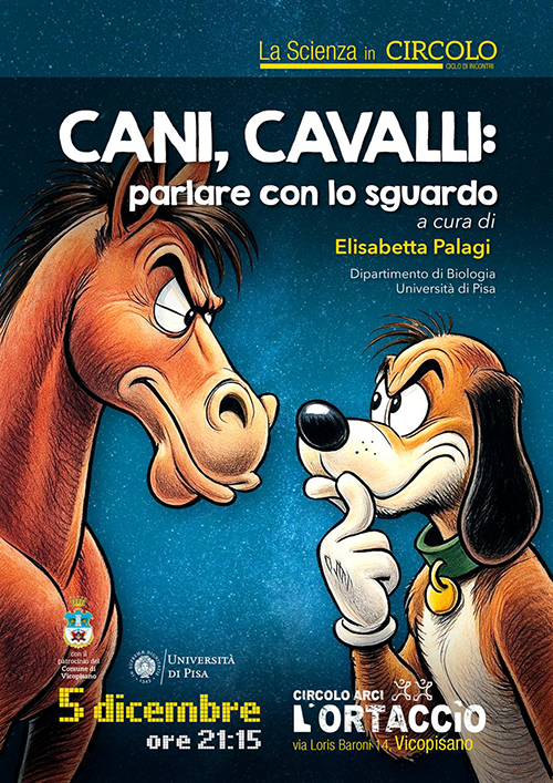 Cani, cavalli: parlare con lo sguardo