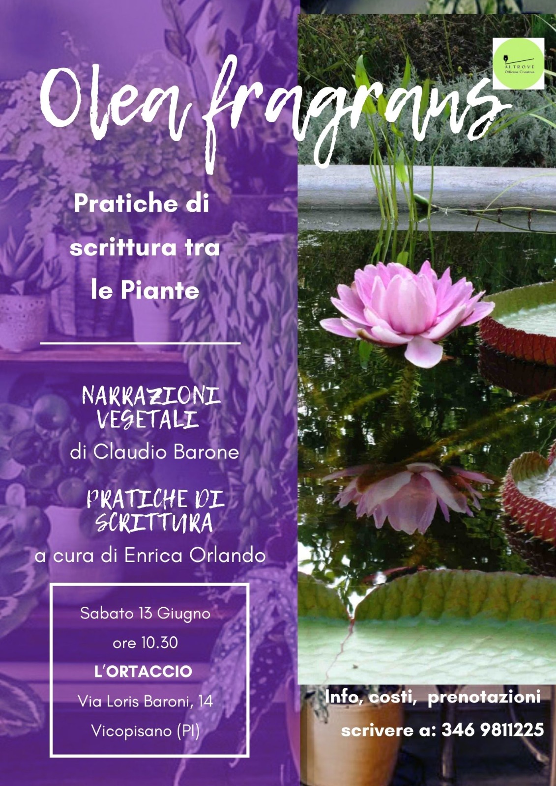 OLEA FRAGRANS Pratiche di scrittura tra le piante