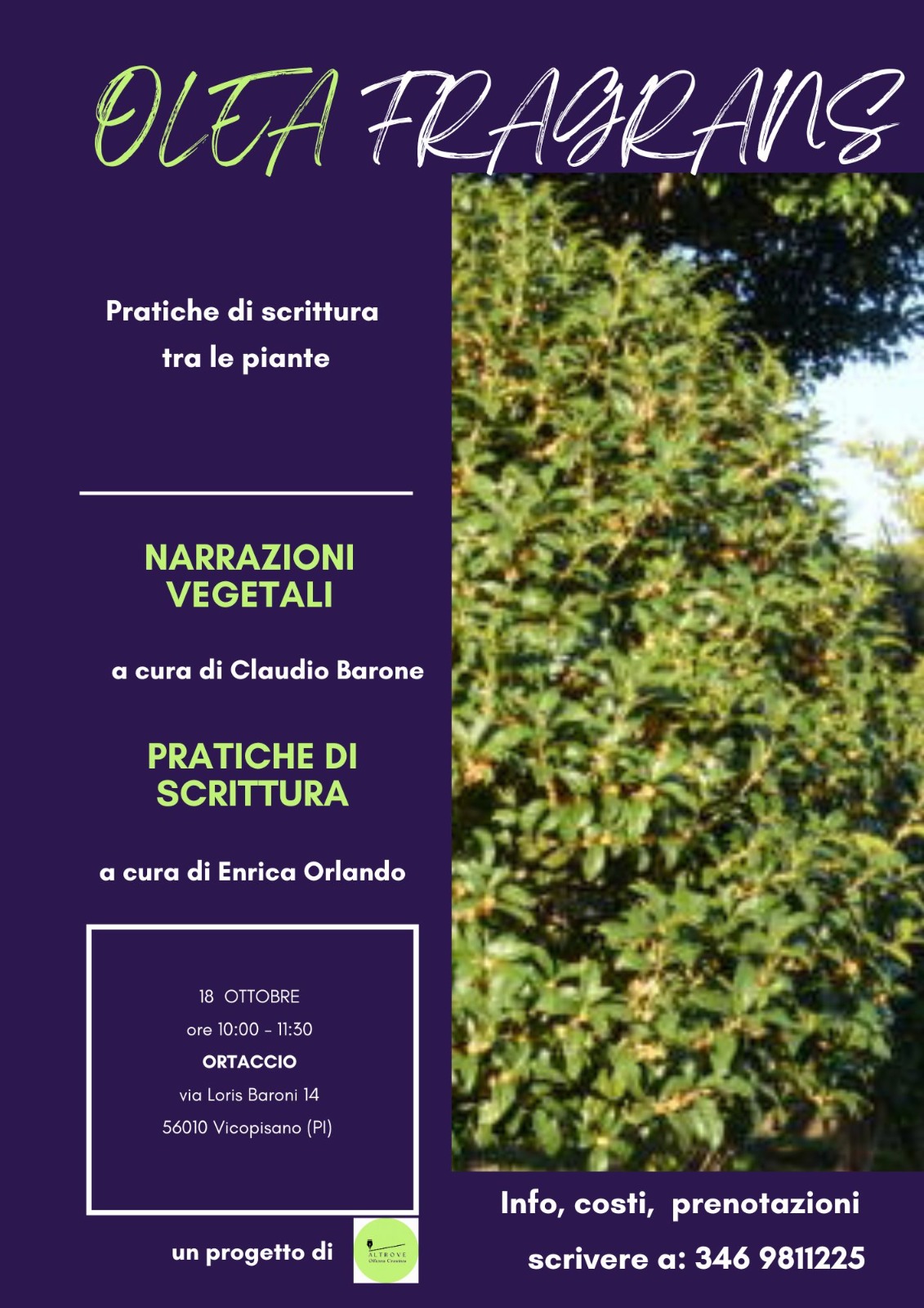 Olea fragrans: un laboratorio di scrittura che fiorisce ai margini